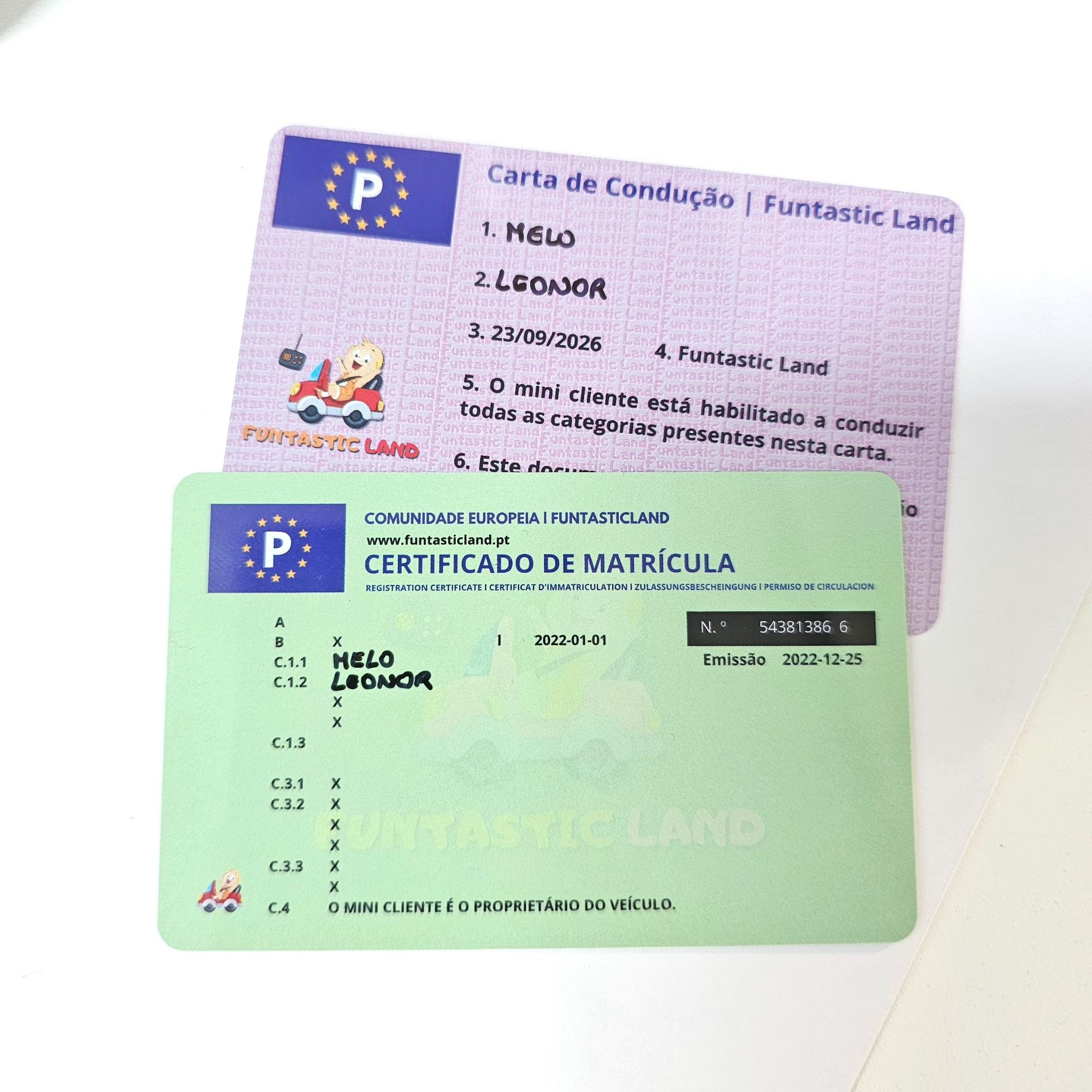Carta de Conducción & Certificado de Matrícula